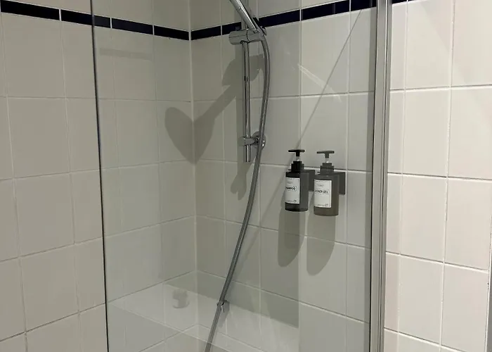 Charmanter Altbau 公寓 德累斯顿